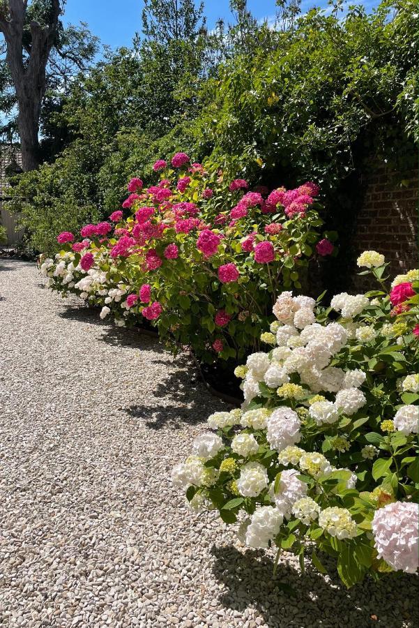 滨海蒙特勒伊Aux Remparts De Montreuil住宿加早餐旅馆 外观 照片
